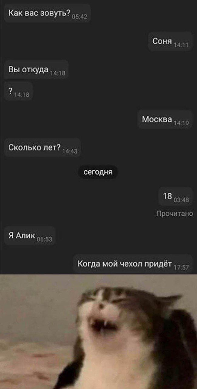 650x1280, 56 Kb / соня, алик, чехол