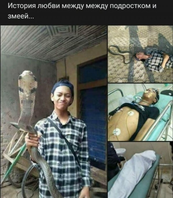 600x685, 79 Kb / змея, мальчик
