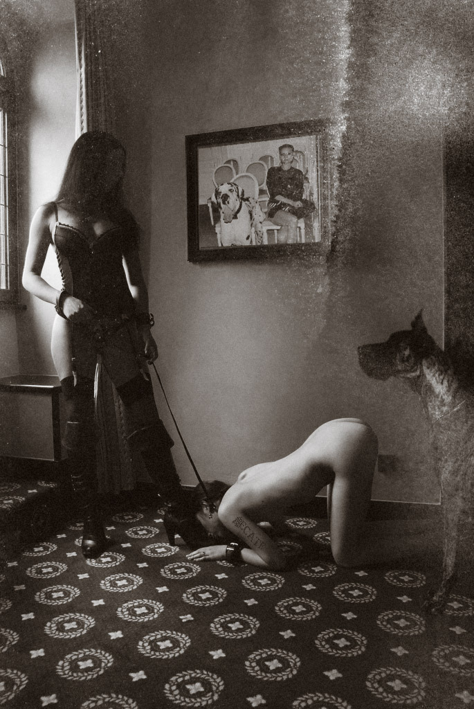 685x1024, 234 Kb / девка, дог, раком, картина, зоофилия, ч/б