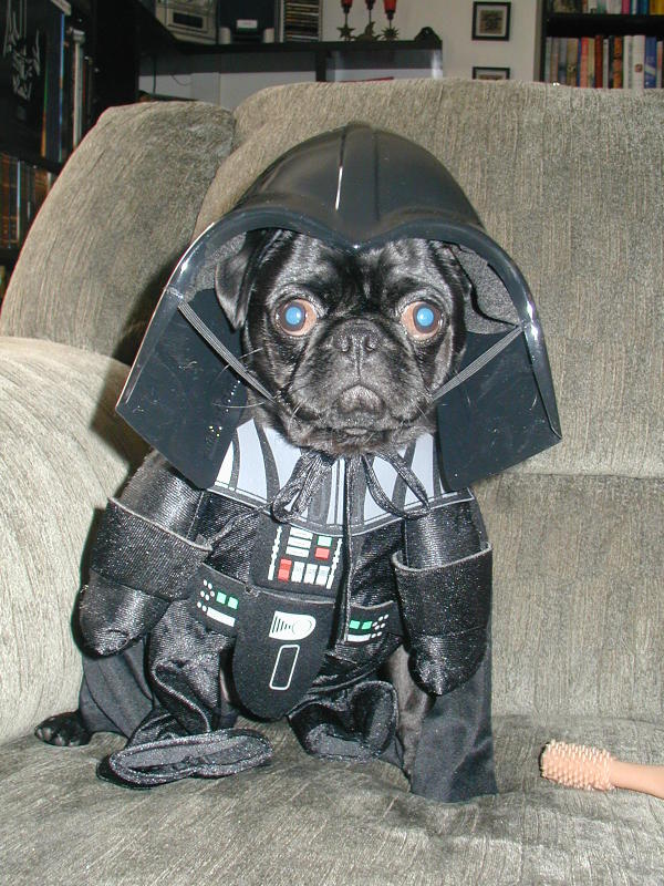 600x800, 120 Kb / Дарт Вейдер, щенок, ЗВ, Звёздные войны