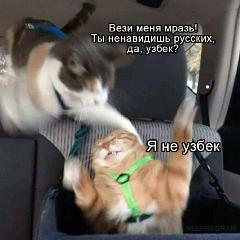 960x960, 59 Kb / мем, вези меня мразь, узбек