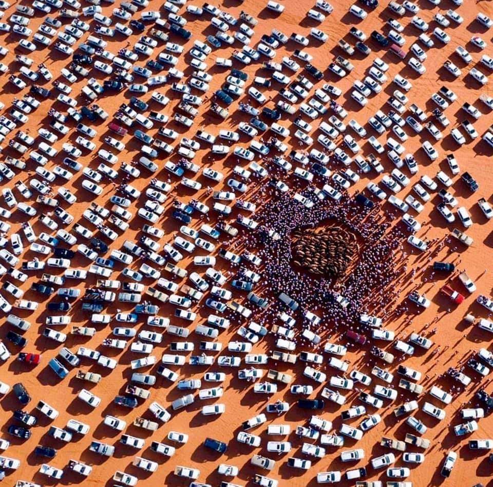 960x948, 230 Kb / Рынок, верблюды, пустыня, авто