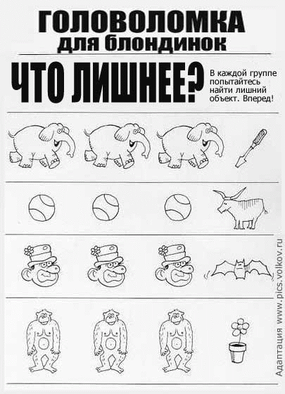 405x560, 100 Kb / головоломка, блондинка