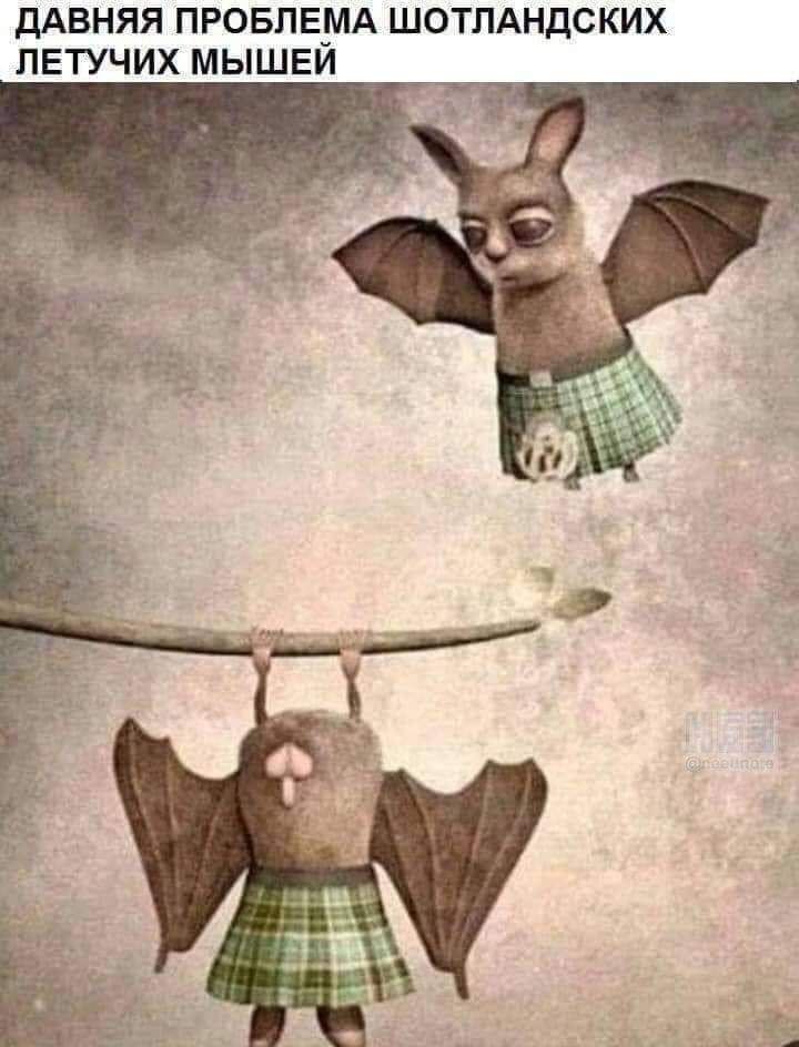 720x944, 73 Kb / Летучая мышь, шотландия, килт