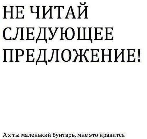 505x480, 18 Kb / Бунтарь, предложение, шрифт