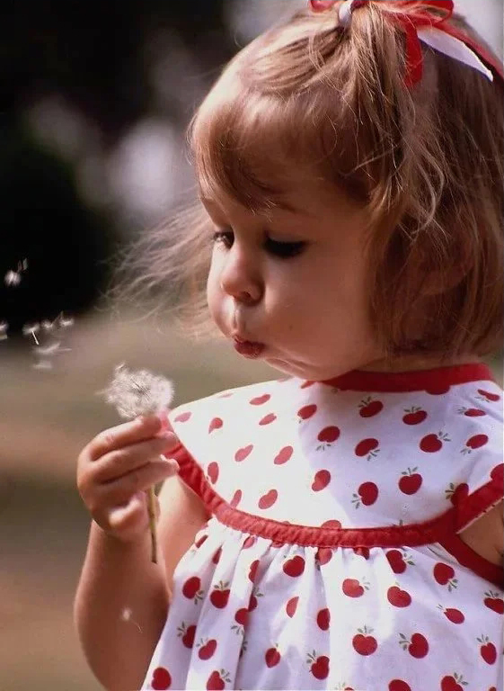 561x768, 240 Kb / девочка, одуванчик