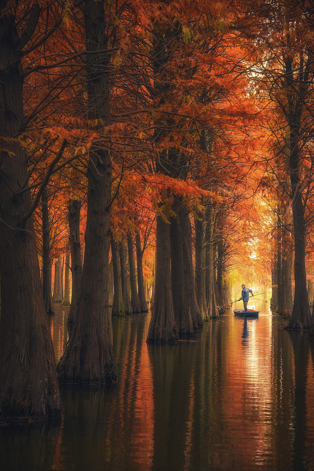 1000x1500, 629 Kb / вода, деревья, лодка, лодочник