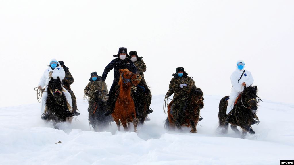 1023x575, 50 Kb / азиаты, лошади, маска, коронавирус