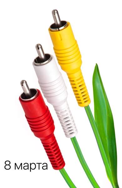 390x600, 17 Kb / Разъём, тюльпан, праздник