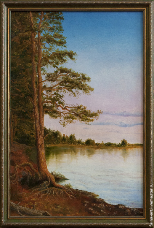 520x768, 185 Kb / сосна, воды, брег