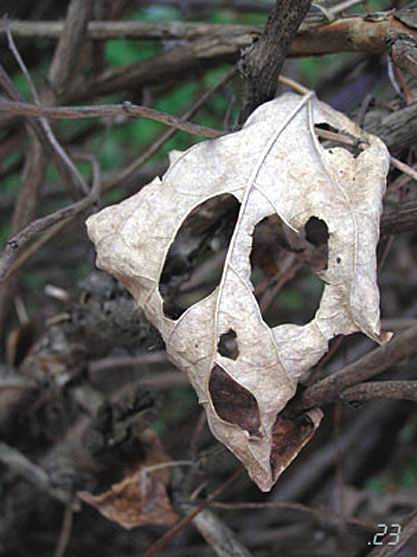 417x557, 42 Kb / лист, осень