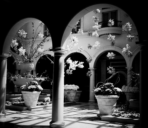 500x432, 97 Kb / цветы, свет, колонны