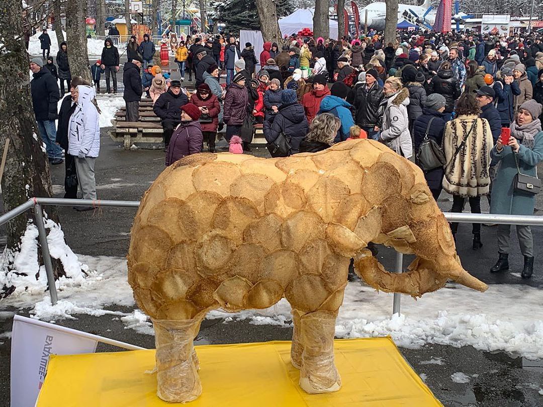 1080x810, 228 Kb / слон, блин