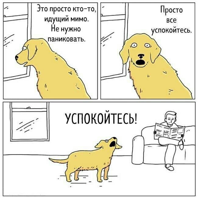 650x650, 59 Kb / собака, успокойтесь