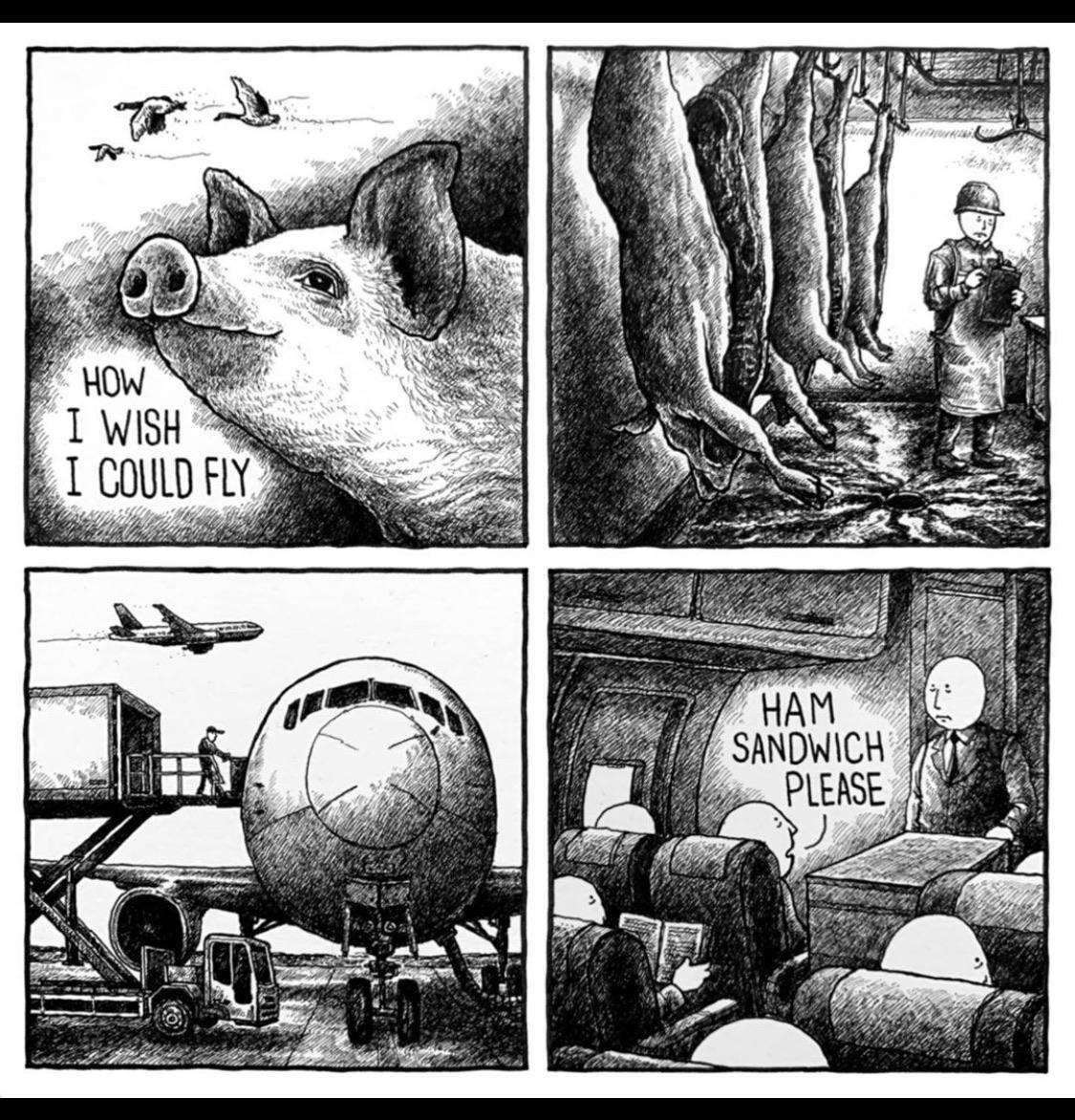 1125x1172, 267 Kb / свинья, самолет, сэндвич, свинина, мечта