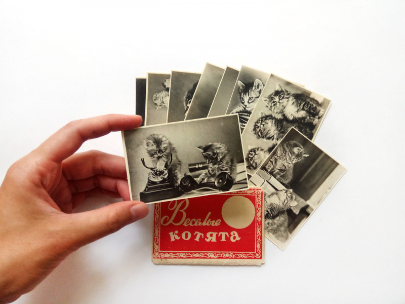 800x600, 93 Kb / котята, сувенир, карточка, ссср