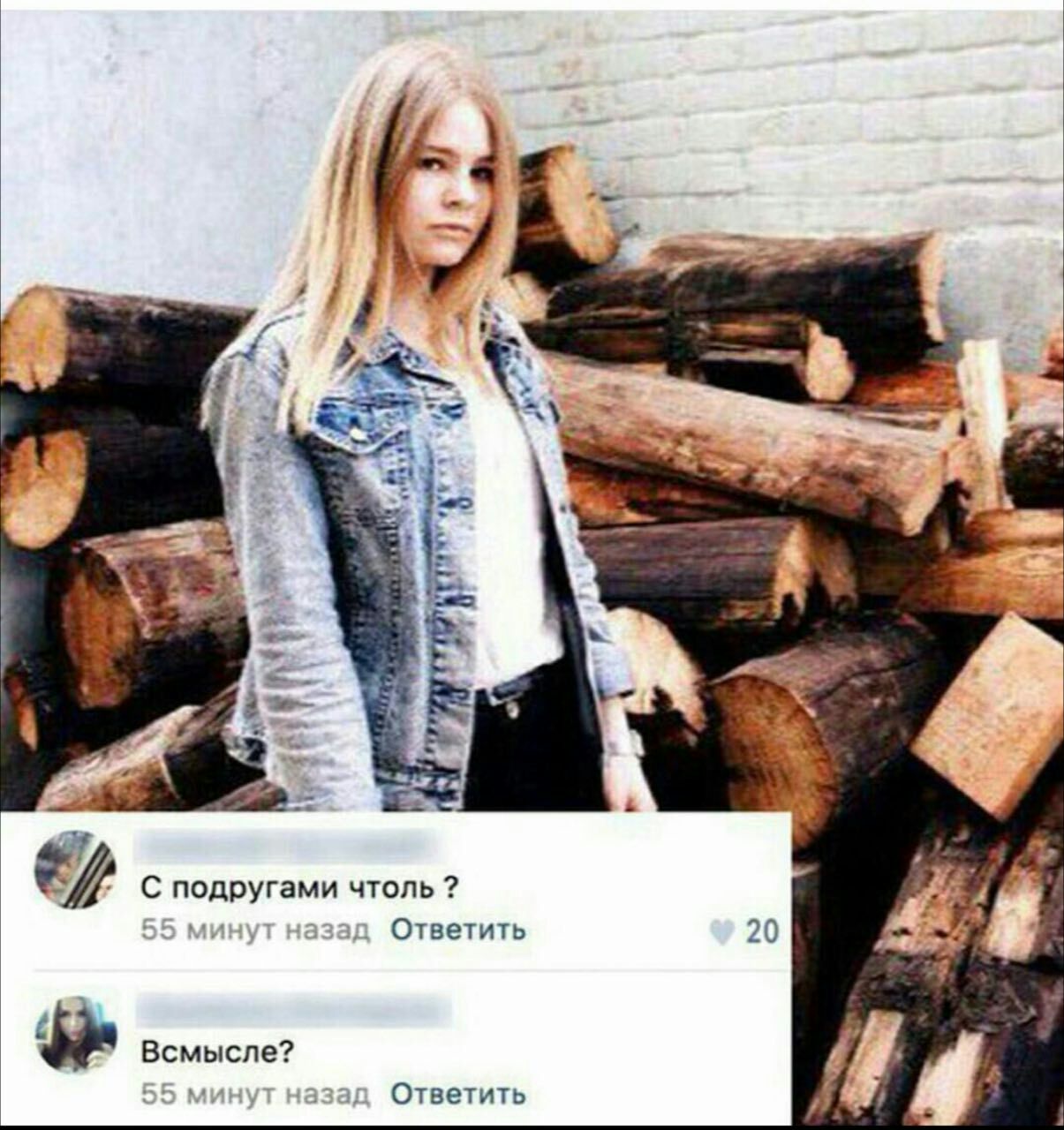 1205x1280, 195 Kb / Бревна, подруги