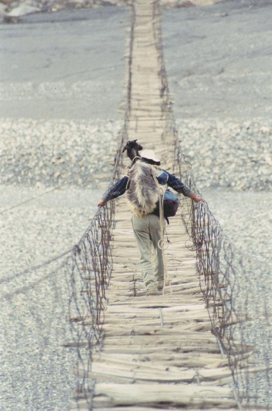 531x800, 65 Kb / мост, козел