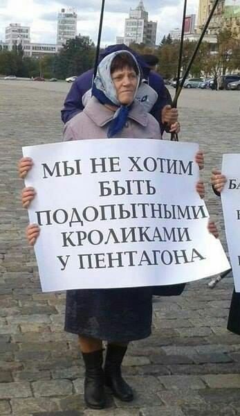 347x600, 50 Kb / пентагон, кролики, подопытные, руки, плакат