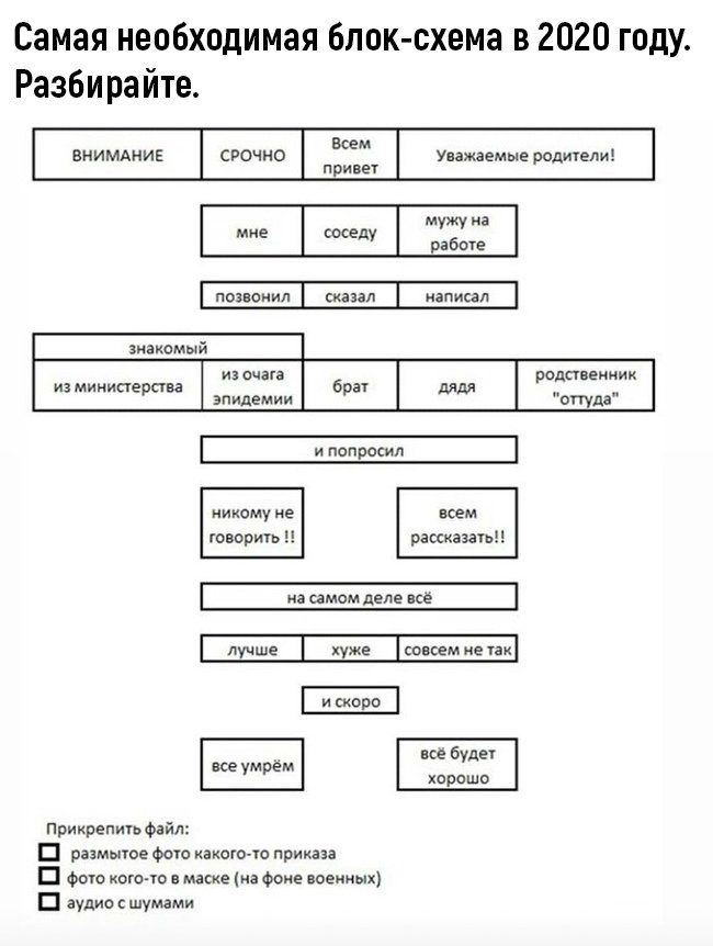 650x862, 68 Kb / схема, коронавирус