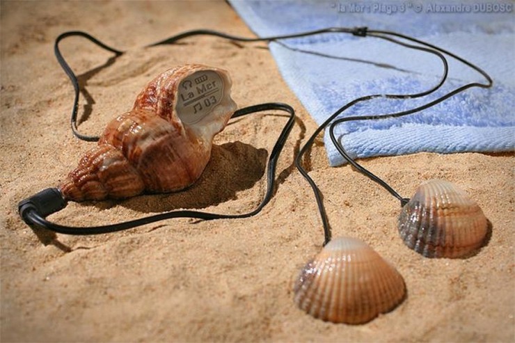 740x493, 97 Kb / плеер, ракушка