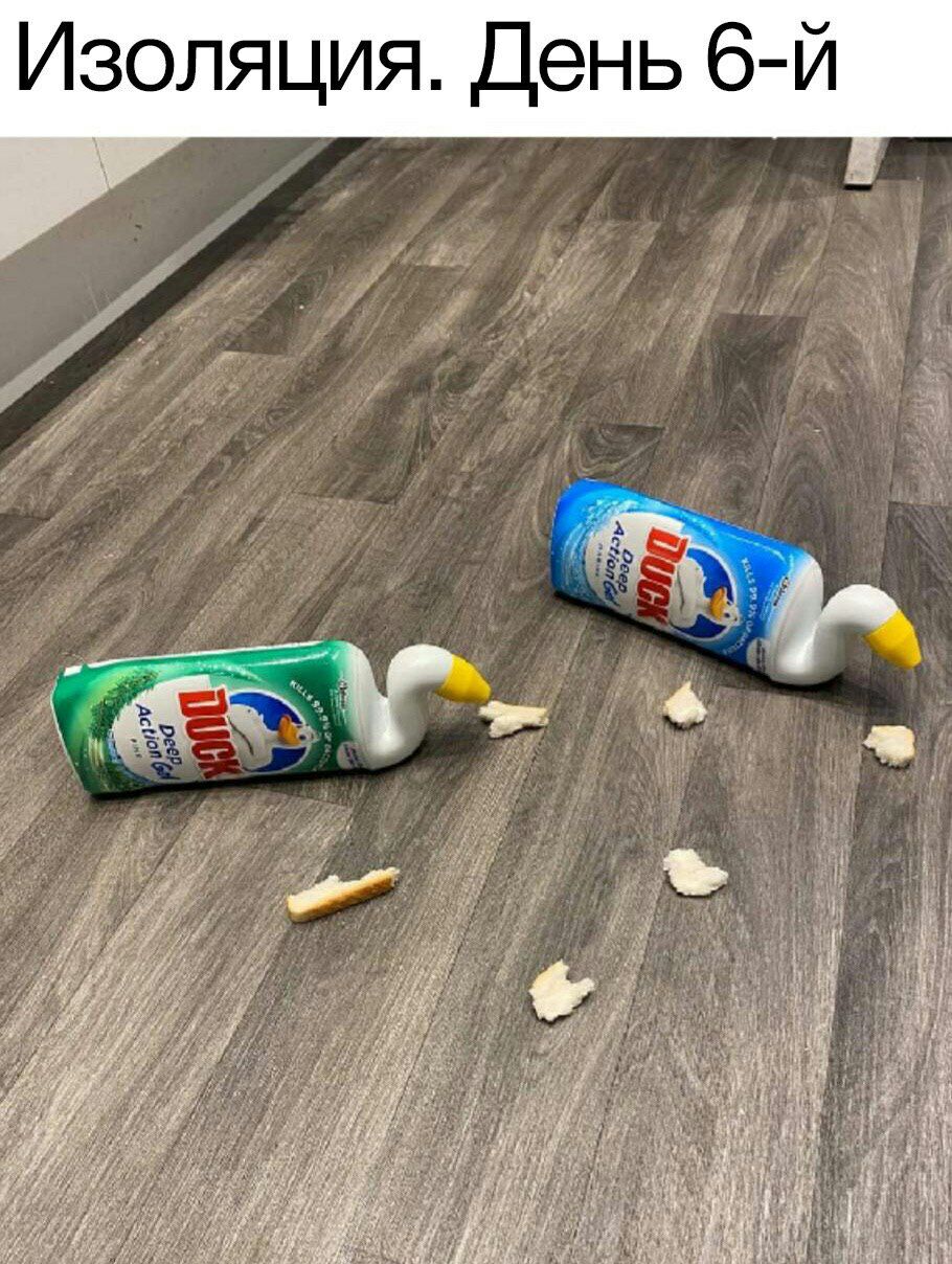 910x1208, 235 Kb / утки, хлеб, чистящее средство