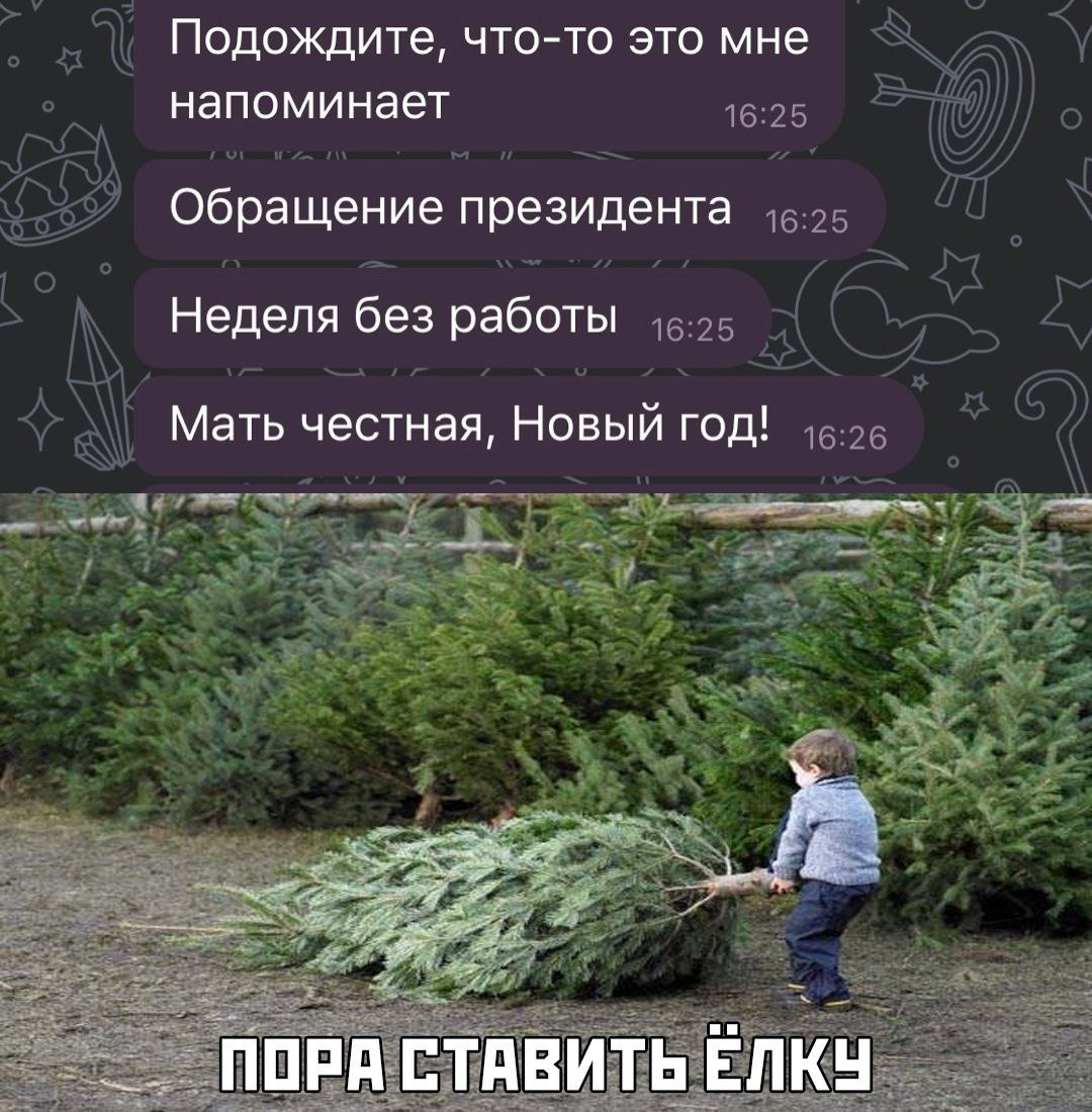 1080x1100, 234 Kb / елка, каникулу, новый год, карантин