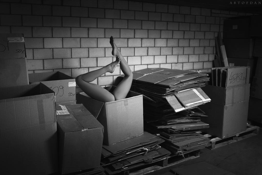 1024x683, 67 Kb / ноги, коробка,  ArtofdanPhotography