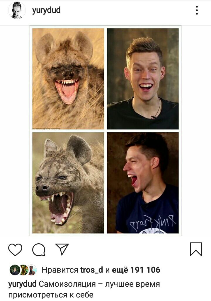 720x1028, 105 Kb / дудь, гиена