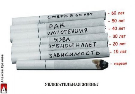 450x315, 23 Kb / сигареты, курение