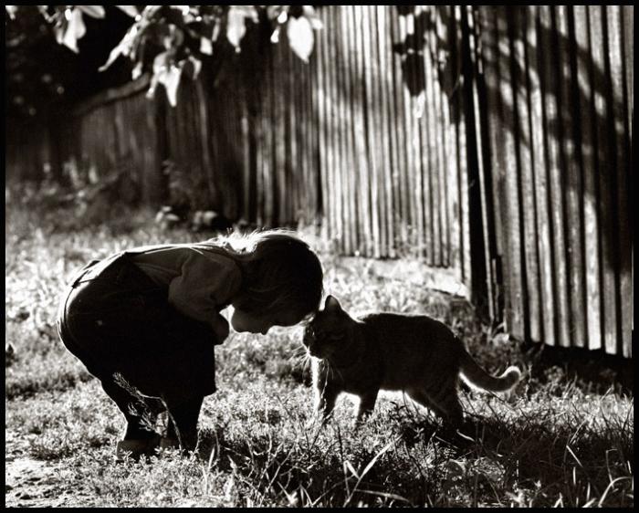 700x562, 76 Kb / кошка, ребёнок, ч/б