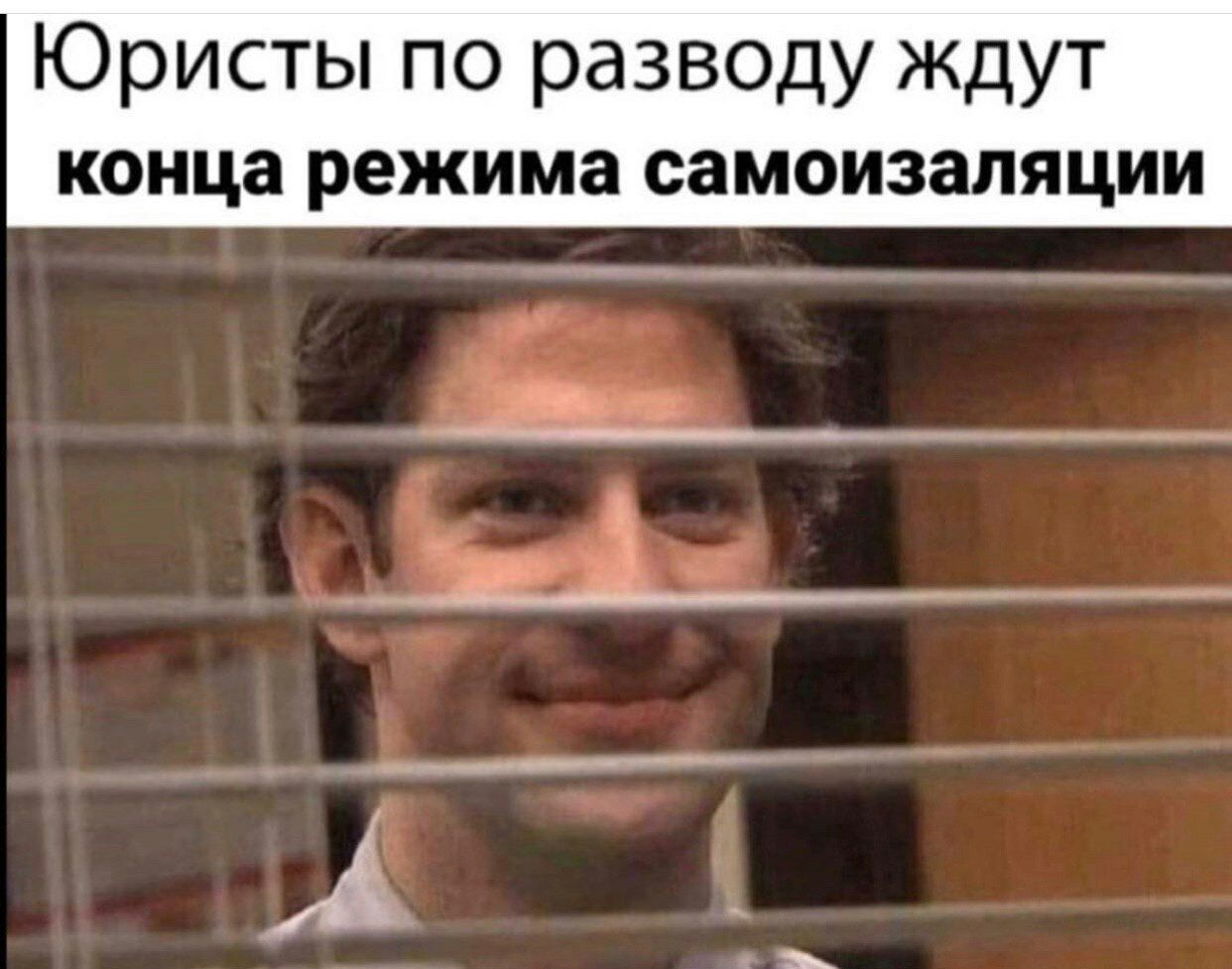 1242x977, 134 Kb / юрист, развод, жалюзи