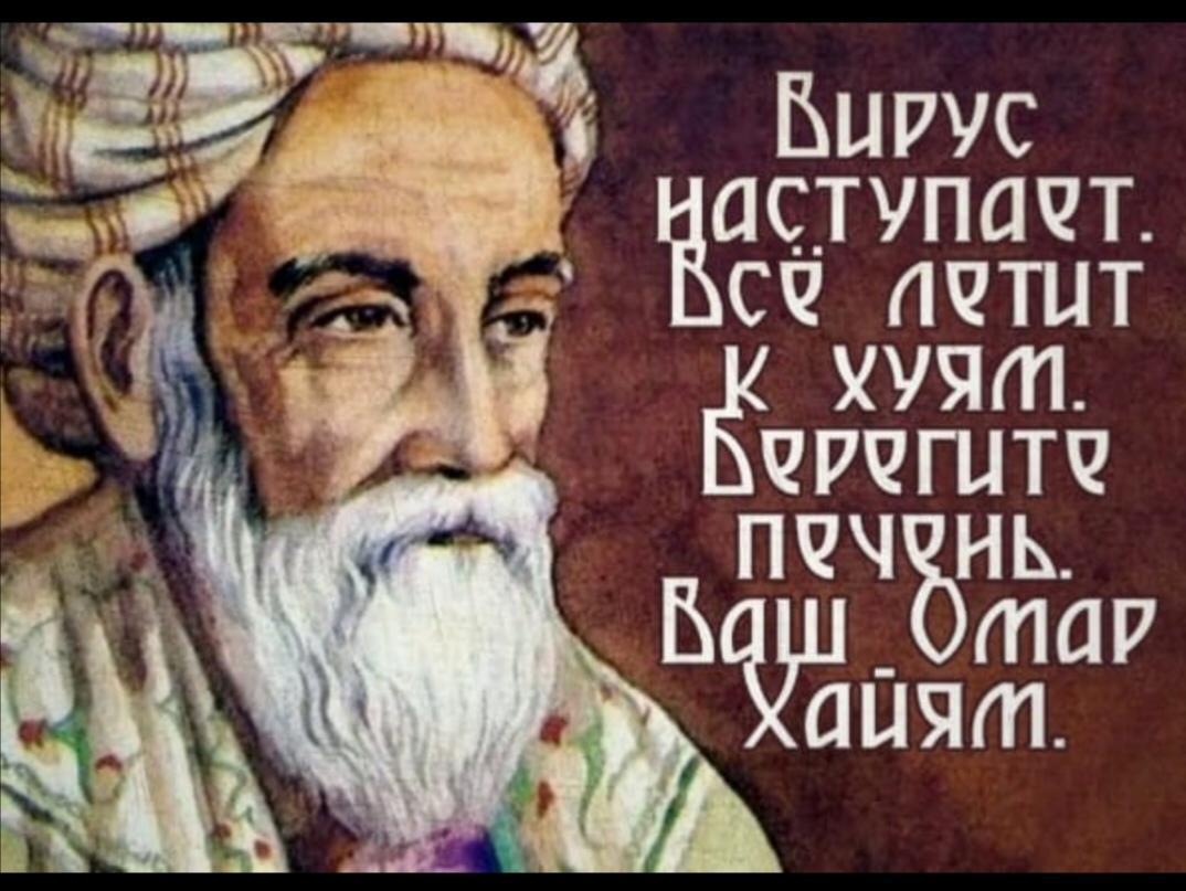 1074x807, 106 Kb / Омар, Хайям, печень, вирус