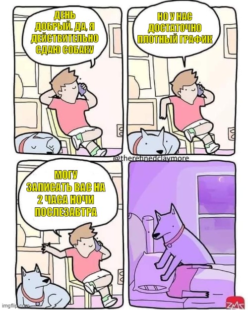 500x625, 104 Kb / собака, подушка, аренда