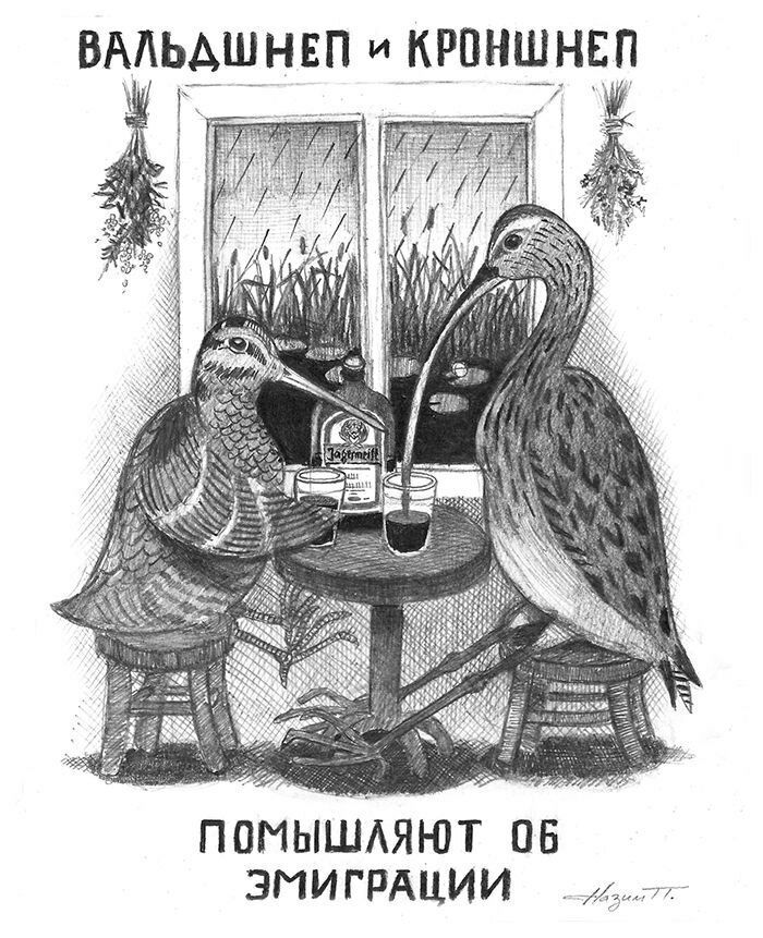 700x861, 154 Kb / вальдшнеп, кроншнеп, эмиграция, рисунок