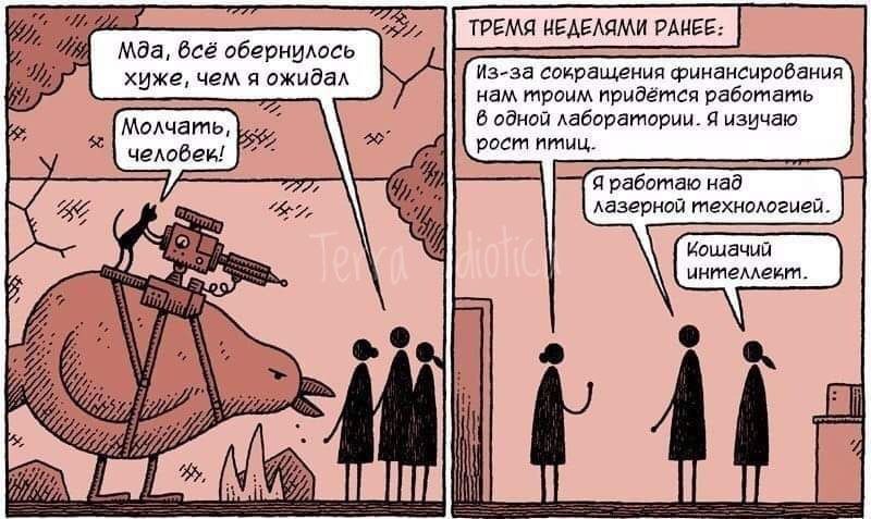 800x477, 92 Kb / лаборатория, кот, птица, лазер, эксперимент, рисунок, интеллект