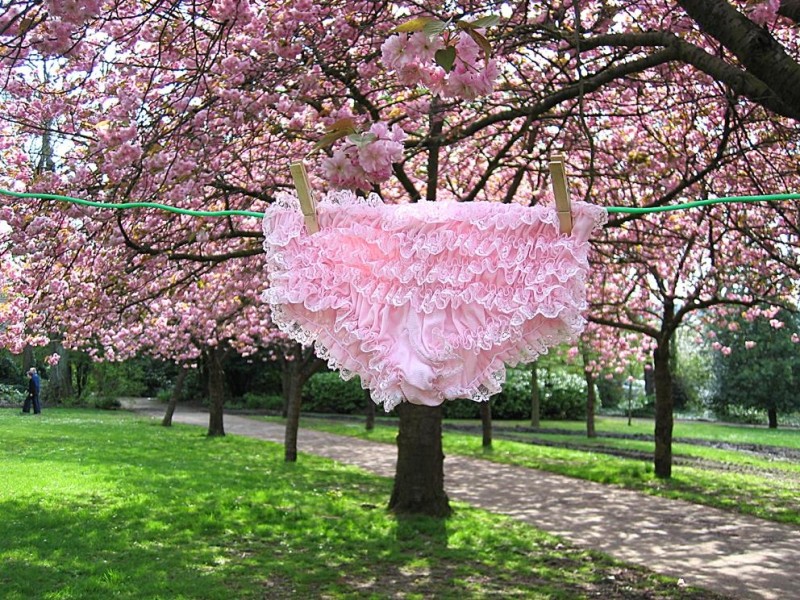 800x600, 232 Kb / трусы, белье