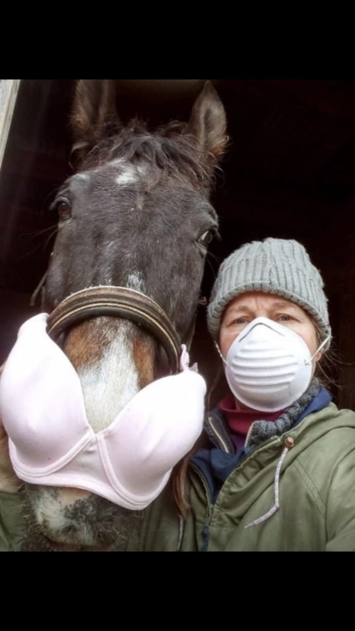 720x1280, 65 Kb / лифчик, маска, лошадь