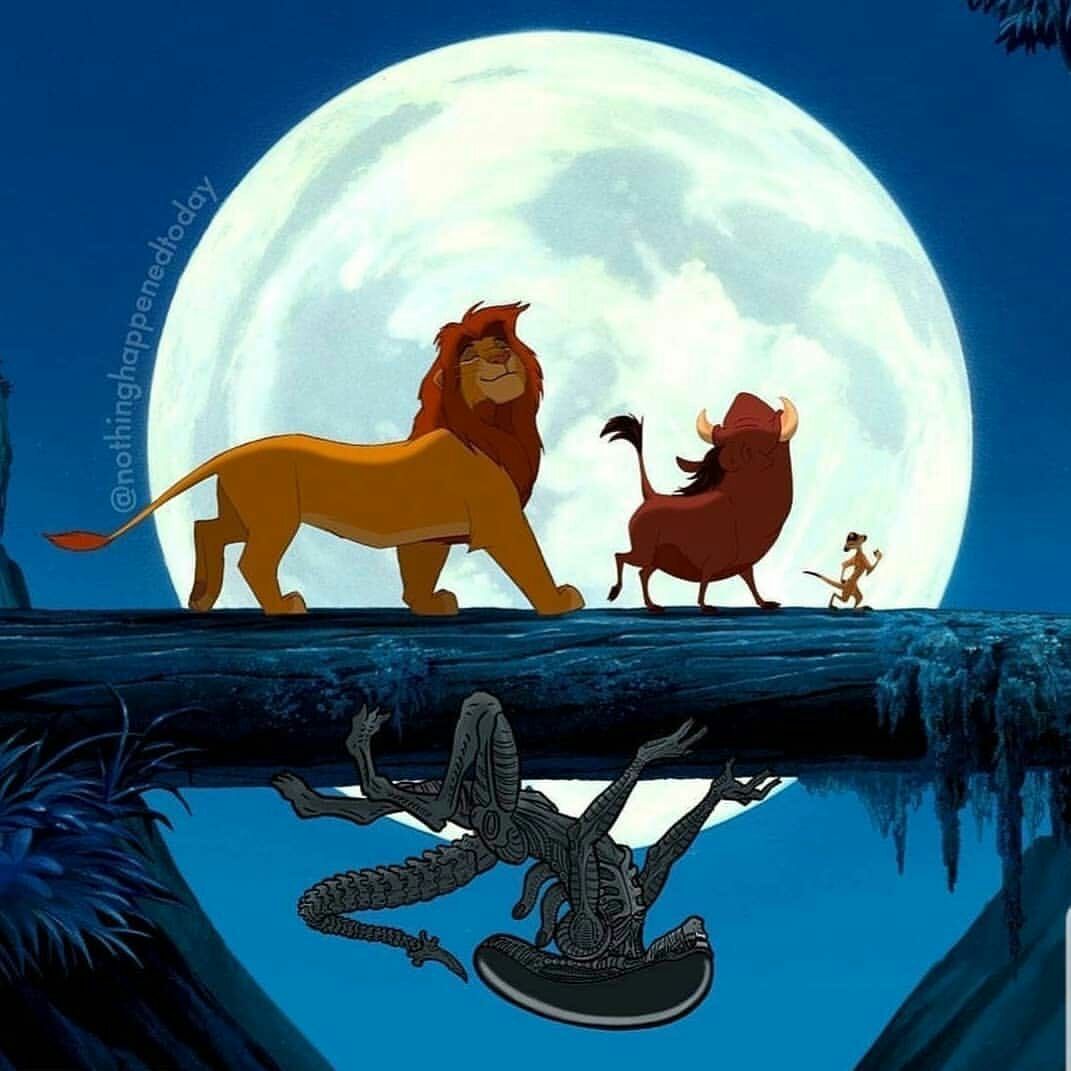 1071x1071, 107 Kb / король лев, пумба, симба, чужой, луна, бревно