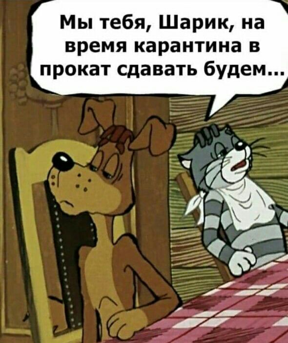 590x702, 86 Kb / простоквашино, шарик, матроскин, прокат