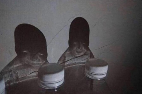 557x369, 277 Kb / бутылки, тень, рожи