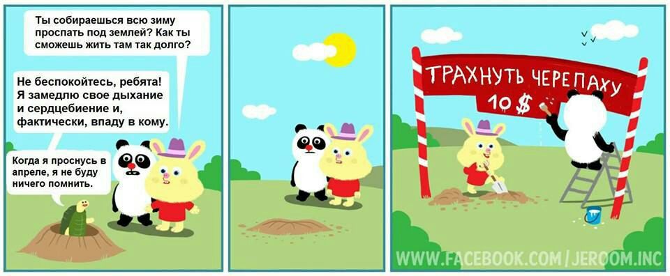 960x396, 74 Kb / черепаха, спячка, панда, анабиоз, кома, аттракцион, сутенеры