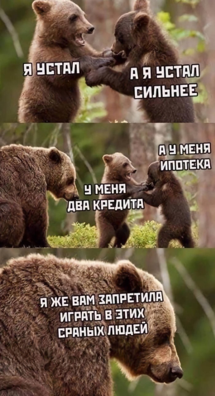 700x1286, 155 Kb / ипотека, медвежата, кредит, театр, люди