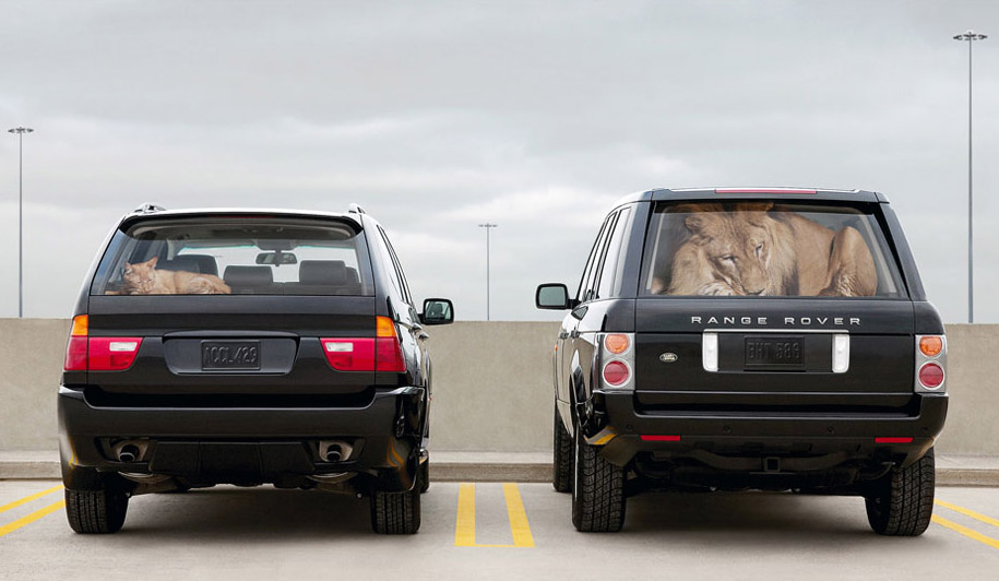 915x532, 90 Kb / кот, лев, джипы