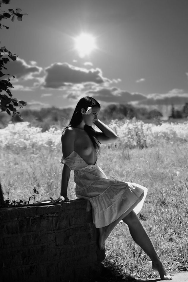 633x950, 72 Kb / облака, ч/б, солнце, трава, кирпич, цветок