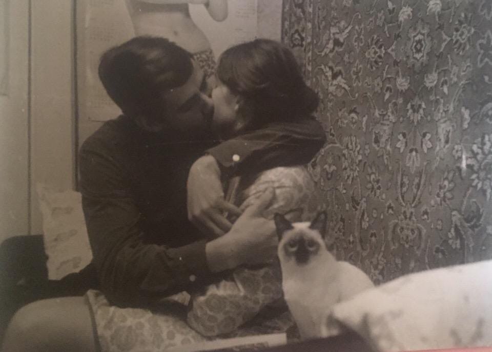 960x688, 63 Kb / Поцелуй, ковёр, кот, сиамский