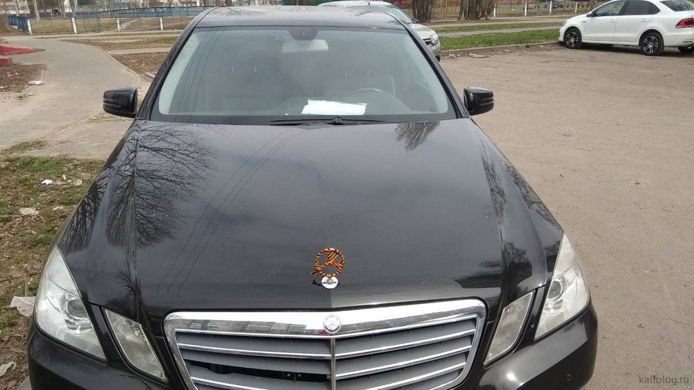 1000x562, 131 Kb / мерс, ленточка, синергия