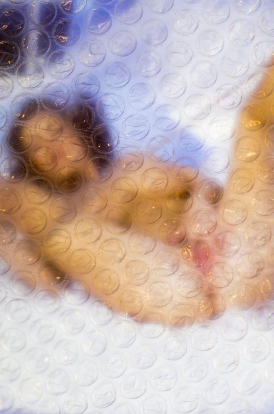 537x810, 63 Kb / девка, пизда, пупырка