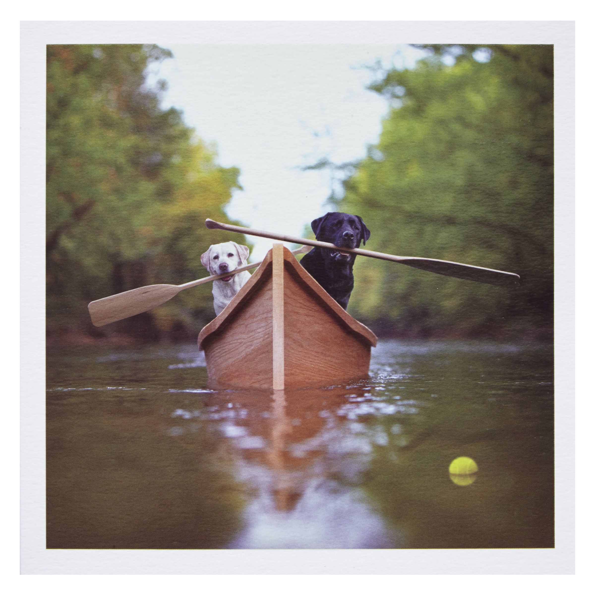 2400x2400, 610 Kb / лодка, собаки, весла, мячик, река