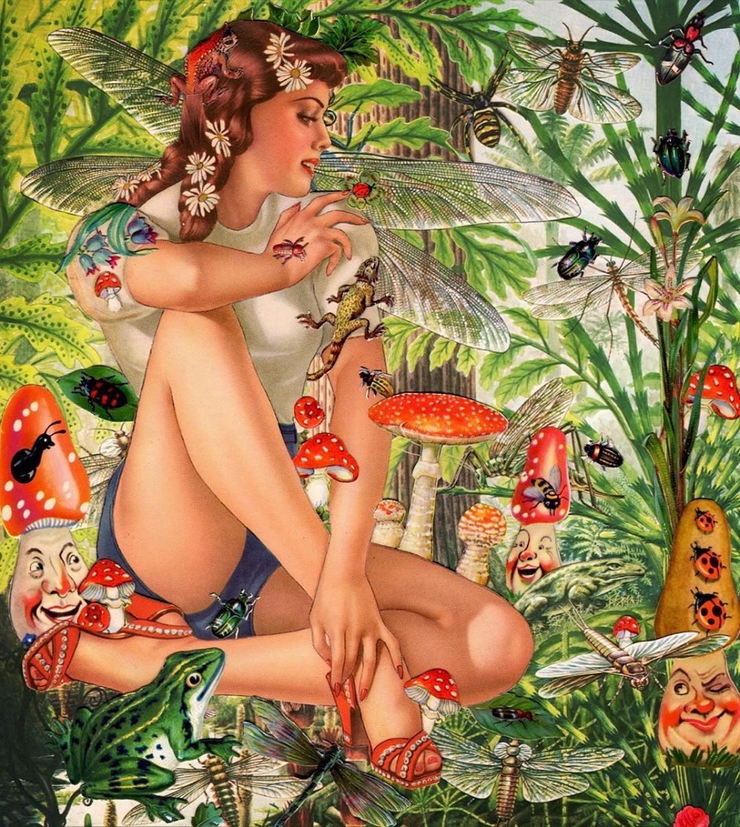 1080x1208, 339 Kb / девка, мухоморы, стрекоза, крылья, рисунок